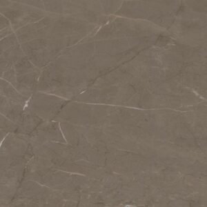 Armani Taupe - 2811