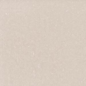 Fossili Avena - 2826