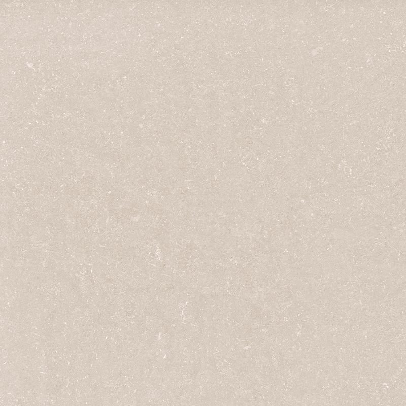 Fossili Avena - 2826