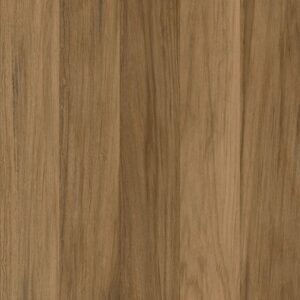Texas Taupe